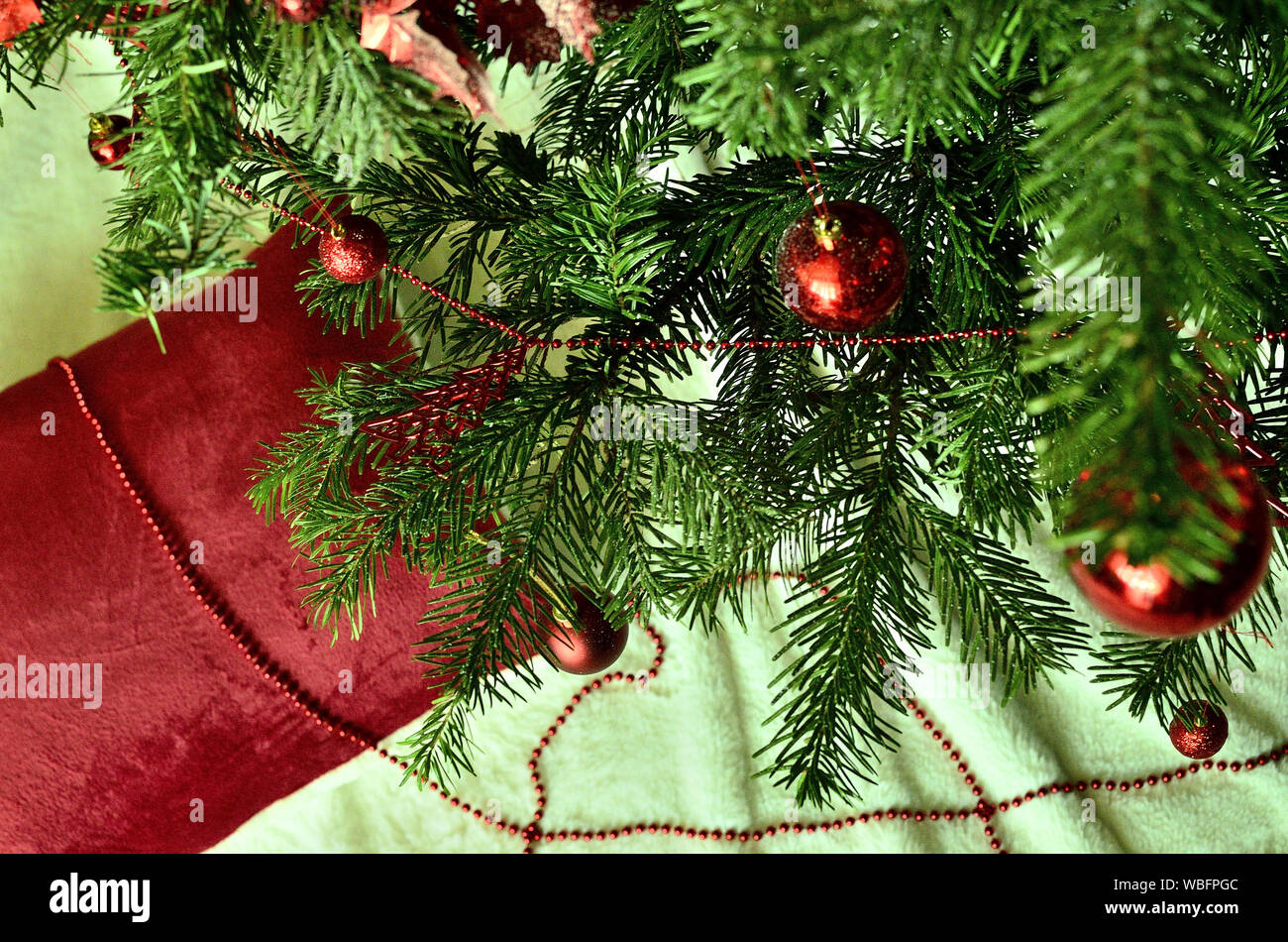 Albero del cuscino immagini e fotografie stock ad alta risoluzione