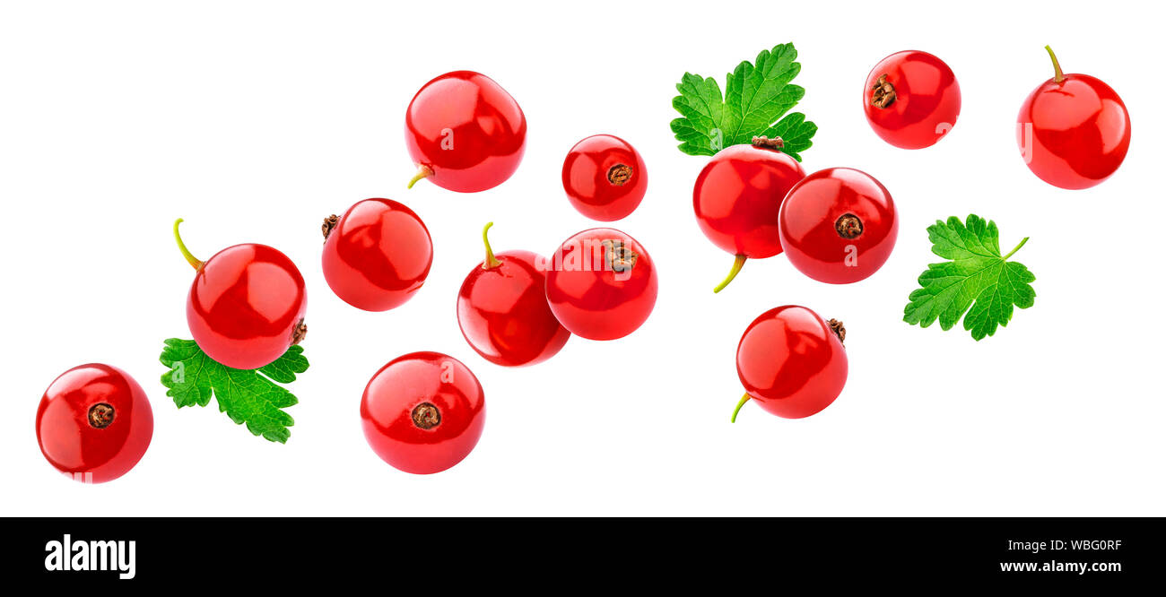 Ribes rosso isolato su sfondo bianco con tracciato di ritaglio Foto Stock
