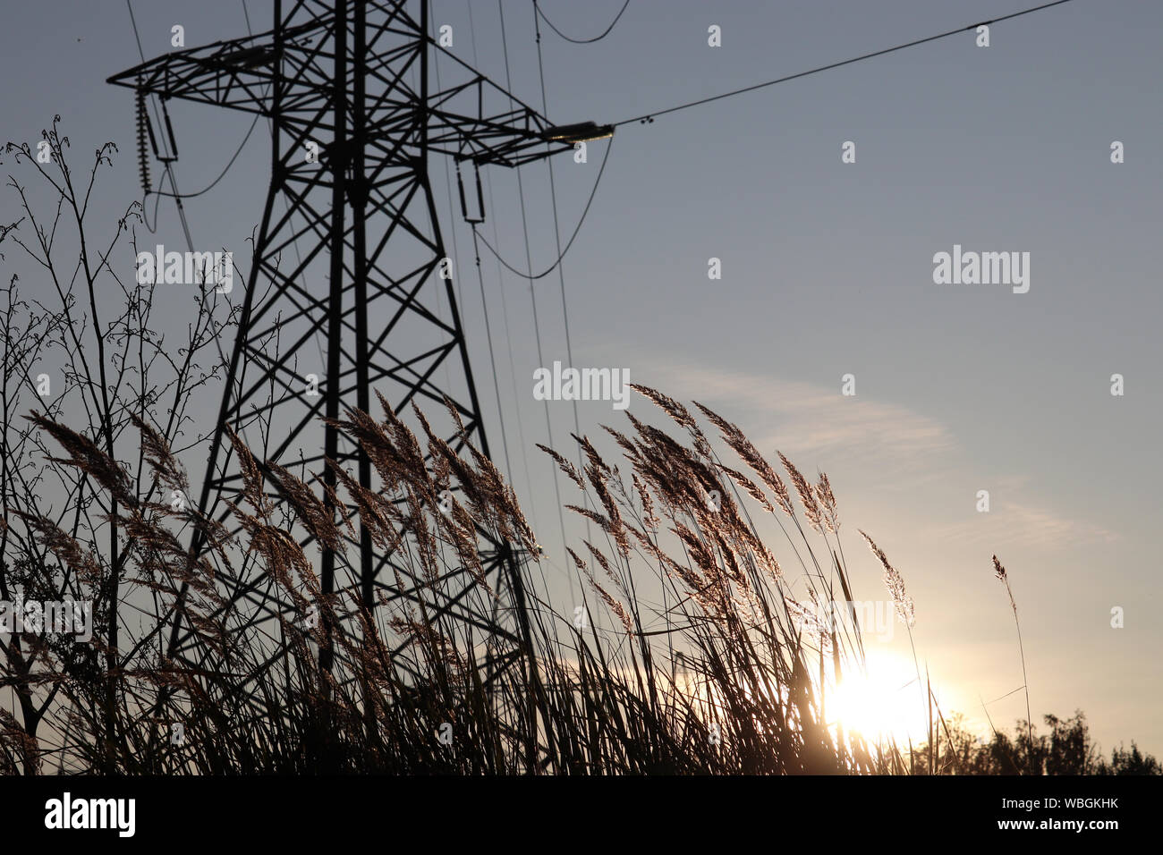 Silhouette di tensione alta torre con fili elettrici su sfondo al tramonto, vista attraverso l'erba. La linea di alimentazione di supporto in un campo con regolazione del sole Foto Stock