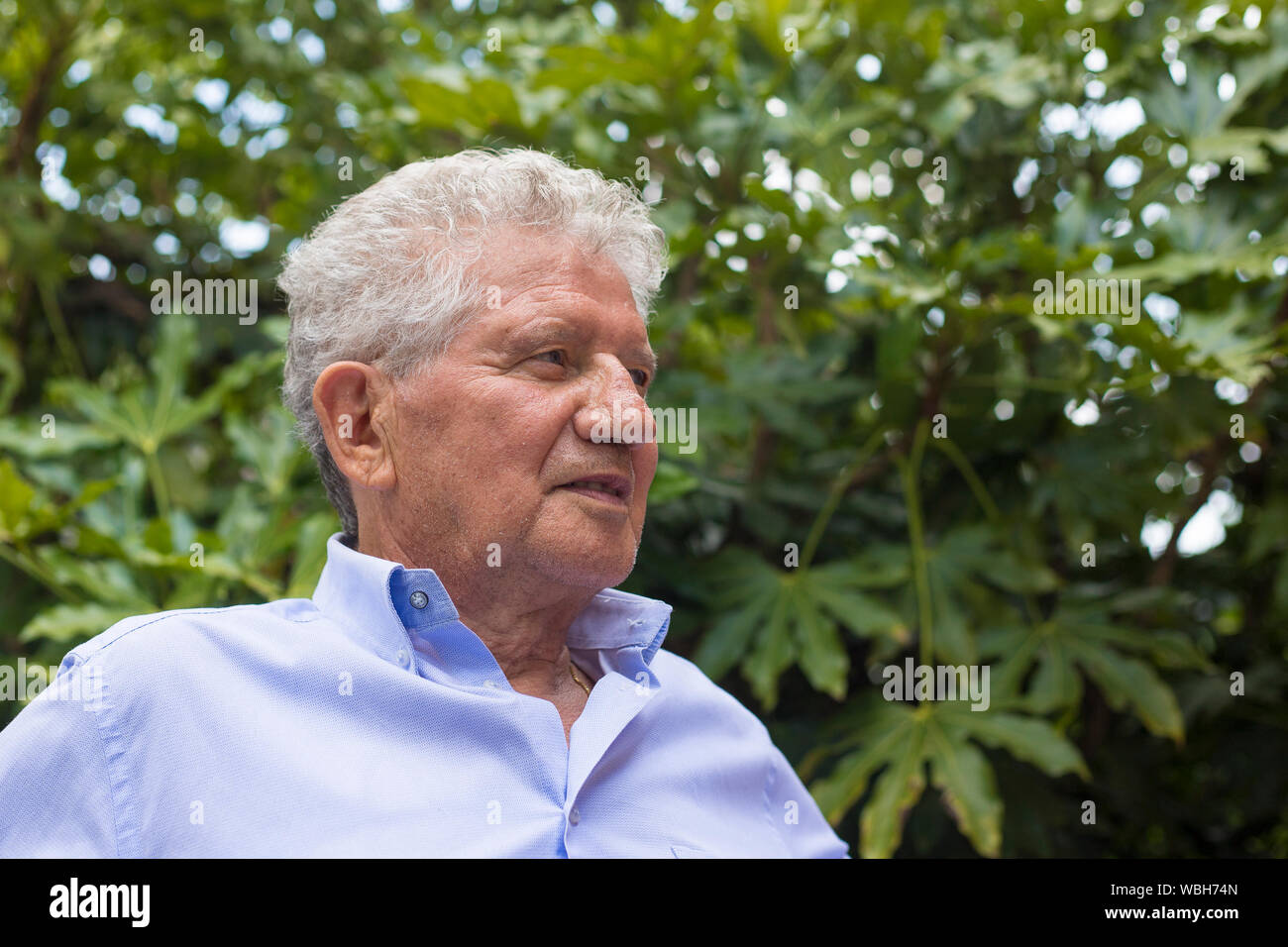 Ritratto di un vecchio bianco uomo grigio con capelli ricci e la maglietta blu, guardando lontano con piante verdi sfondo. Foto Stock