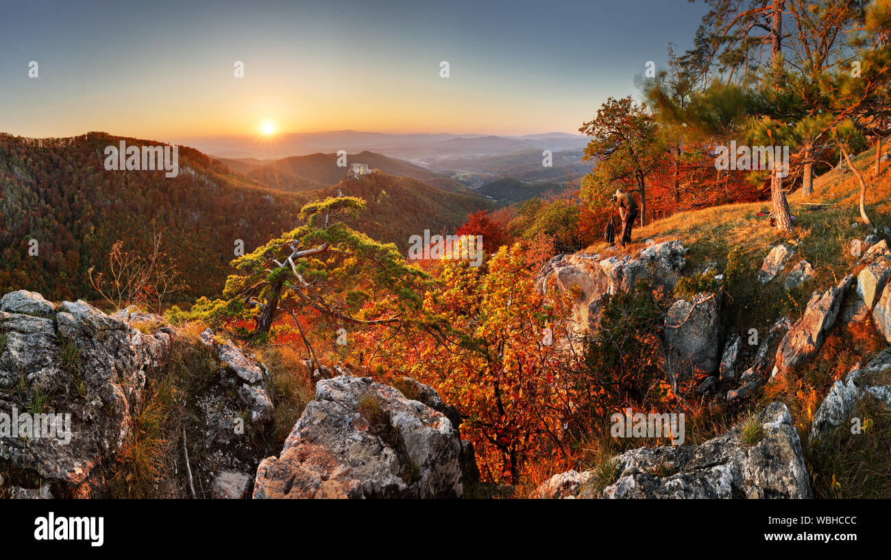 Autunno rurali paesaggio della foresta al tramonto Foto Stock
