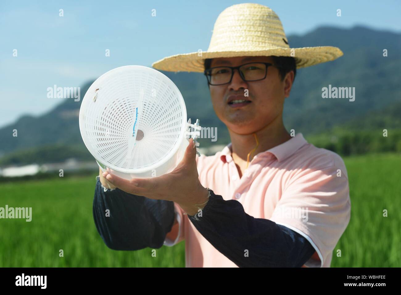 Zhejiang, Zhejiang, Cina. Il 27 agosto, 2019. Zhejiang, Cina-coltivatori di riso spray eco-friendly Pesticidi biologici sui ritardi di riso ecologico risaie su 27 Agosto 2019.resta inteso che l'ecologico campo di risone in Cai cun città, quartiere di Xiaoshan di Hangzhou è una zona di dimostrazione per il comando verde di riso di malattie e parassiti in provincia di Zhejiang.Attualmente ci sono un totale di 773 UM dei campi coltivati. Area di dimostrazione in maniera esauriente utilizza una varietà di verde agricolo a misure di controllo, come ad esempio il controllo biologico (per controllare gli insetti nocivi con insetti utili), eco Foto Stock