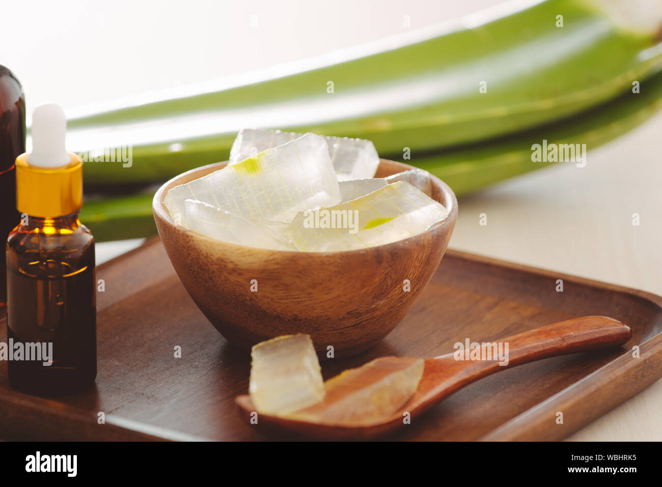 Bottiglia di aloe vera olio essenziale con pelati e Aloe foglie - trattamento di bellezza Foto Stock