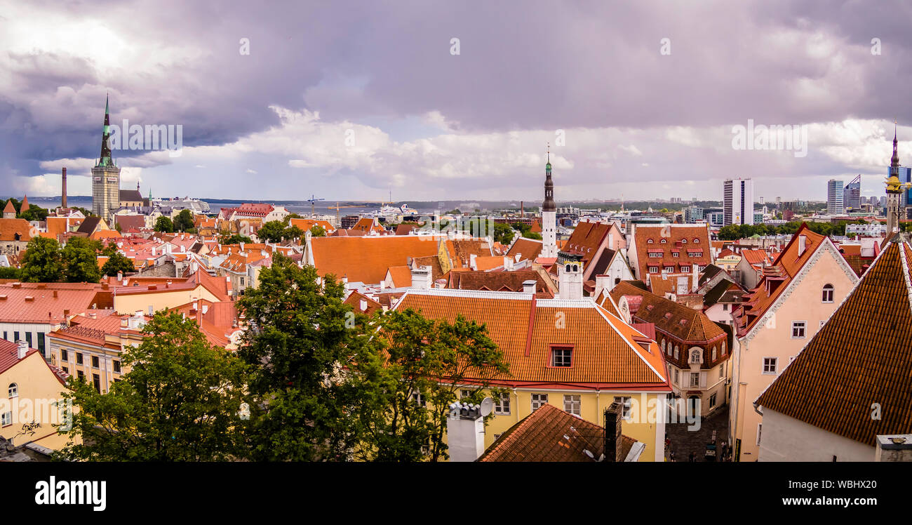Skyline panoramico scenario della città vecchia di Tallinn da Kohtuotsa piattaforma di osservazione, Estonia durante l'estate Foto Stock