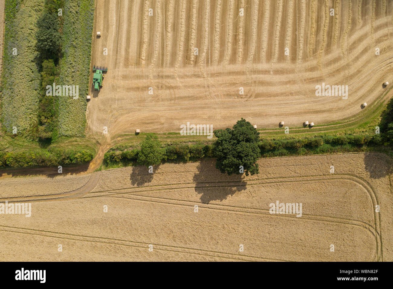 Veduta aerea di un verde mietitrebbia in un campo di fattoria Foto Stock