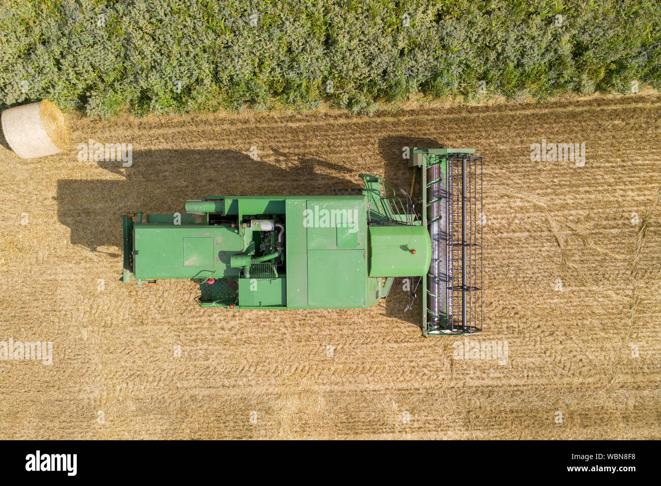 Veduta aerea di un verde mietitrebbia in un campo di fattoria Foto Stock