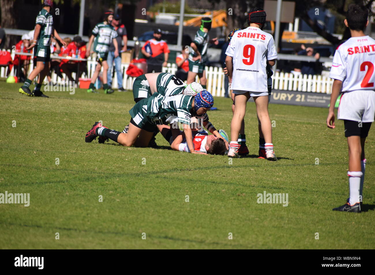 Australian radici di erba sport Foto Stock