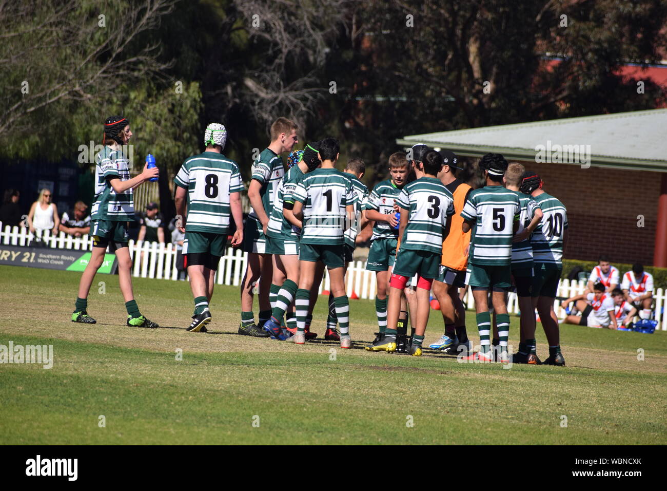 Australian radici di erba sport Foto Stock