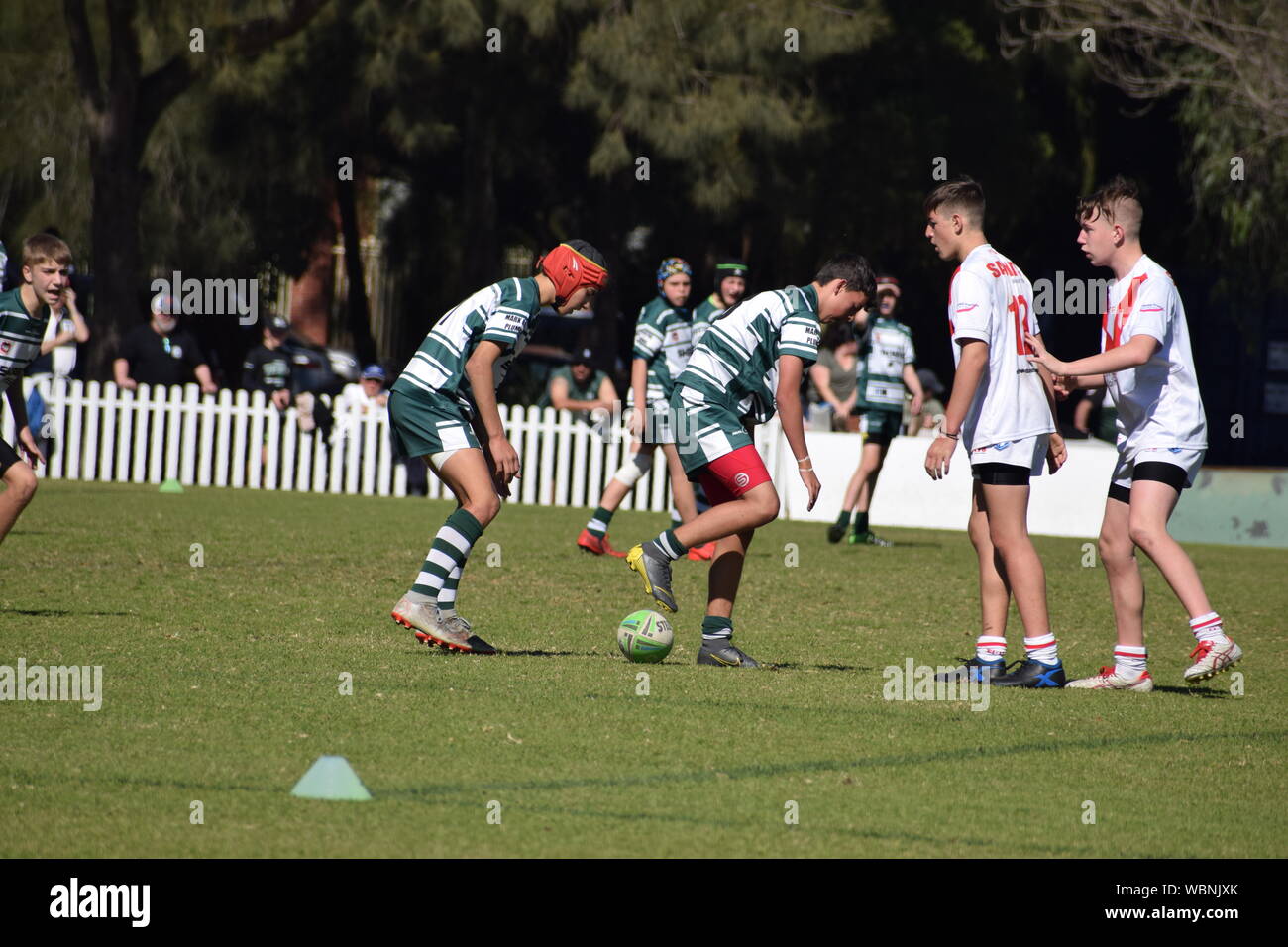 Australian radici di erba sport Foto Stock