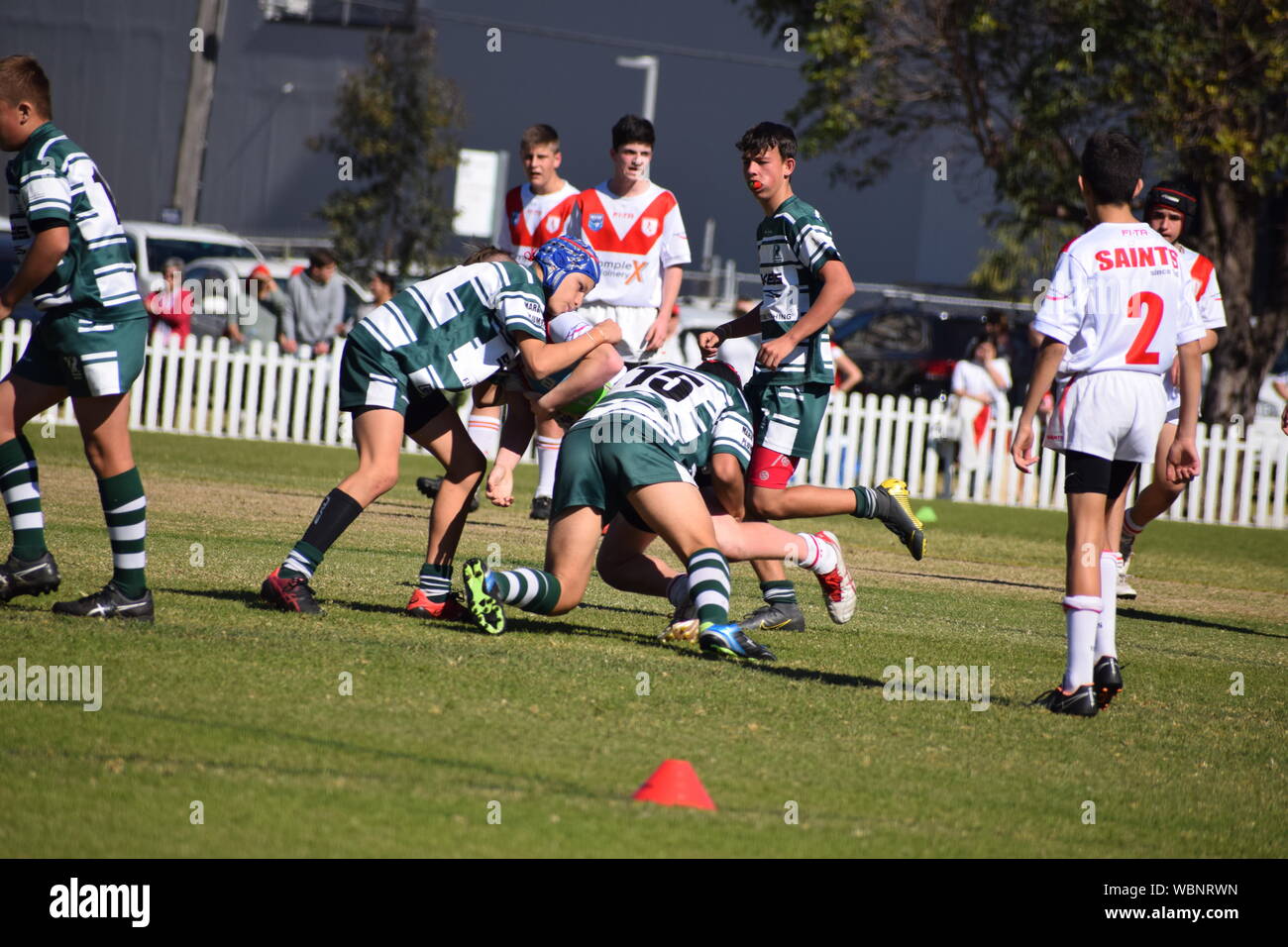 Australian radici di erba sport Foto Stock