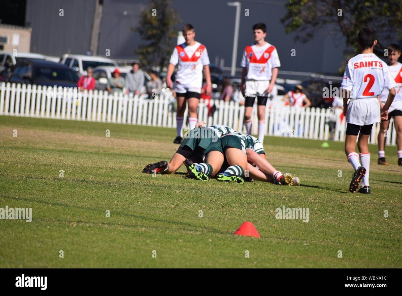 Australian radici di erba sport Foto Stock