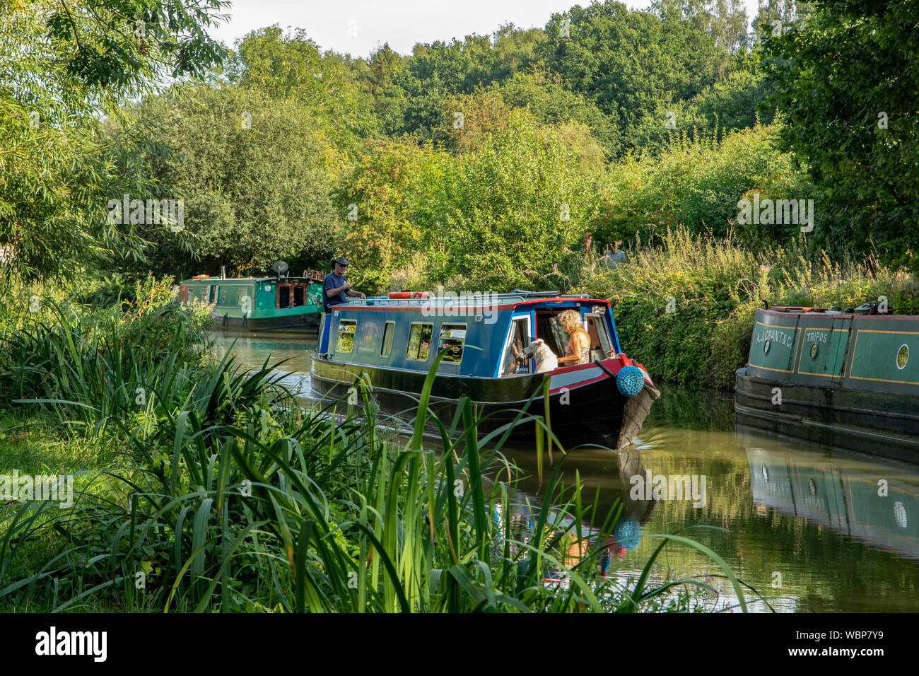 Imbarcazioni strette sul Grand Union Canal, Linslade, Bedfordshire, Inghilterra Foto Stock