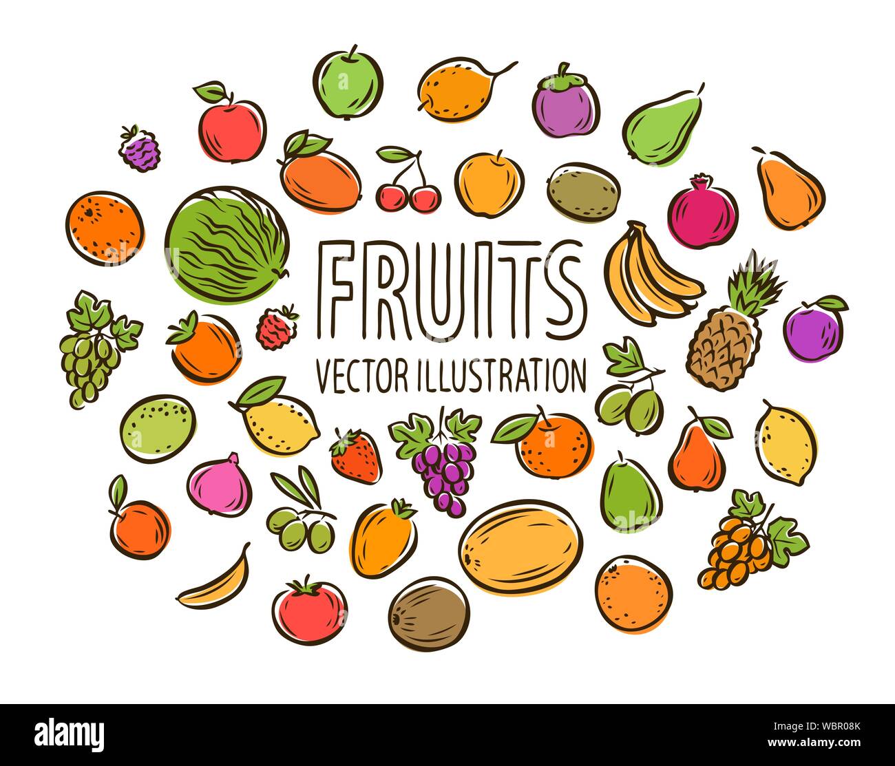 Set di frutta isolato su sfondo bianco. Illustrazione vettoriale Illustrazione Vettoriale