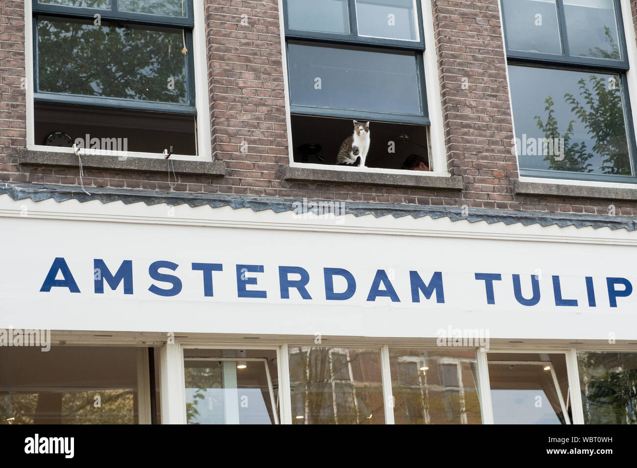 Turismo di Amsterdam Foto Stock