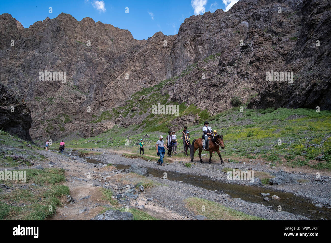 Trekking a cavallo nel deserto del Gobi, Mongolia. Foto Stock