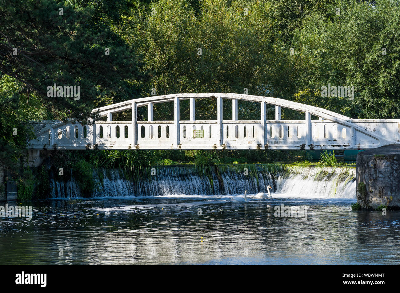 Passerella sul fiume Cam weir a esche Bite bloccare Milton Cambridge 2019 Foto Stock