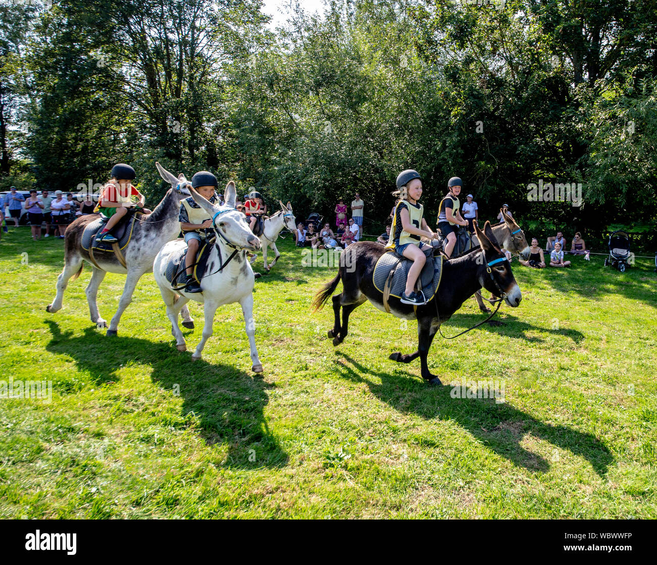 Donkey Derby a Bampton, Oxfordshire su un Bank Holiday, 2019 Foto Stock