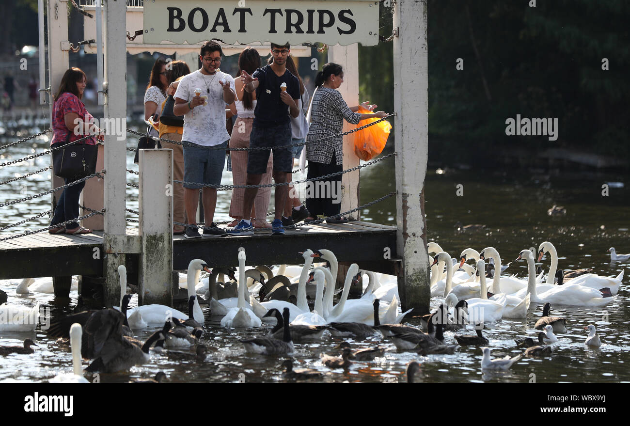 Una famiglia mangiare i gelati e i feed di oche e cigni su un molo vicino a Eton Bridge, Windsor, Berkshire, sotto il sole in seguito il più caldo Agosto lunedì festivo su record, dove le temperature raggiunte 33.2C. L'ondata di caldo è impostata per continuare per alcune parti del Regno Unito dopo il nuovo record di bank holiday meteo. Foto Stock