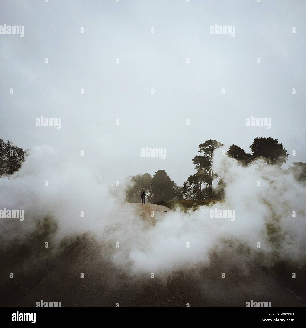 Street contro il cielo chiaro durante la nebbia Meteo Foto Stock