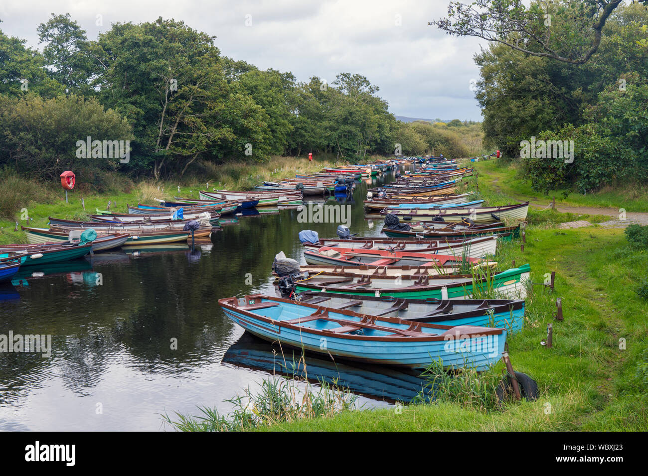 Barche a remi ormeggiate sulla piccola insenatura separazione dell isola di Ross dalla terraferma, Lough Leane, Parco Nazionale di Killarney, nella contea di Kerry, Irlanda. Foto Stock