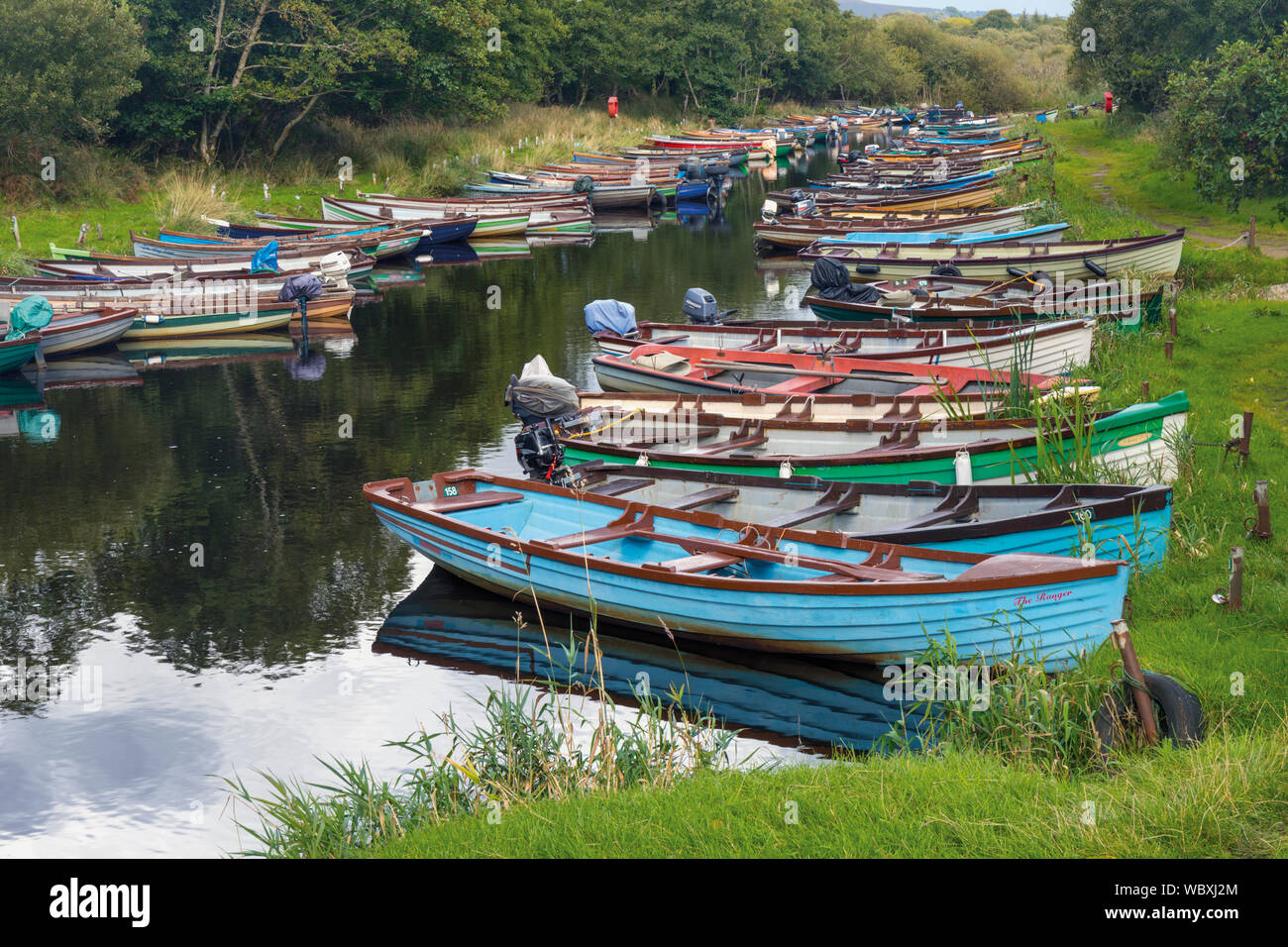 Barche a remi ormeggiate sulla piccola insenatura separazione dell isola di Ross dalla terraferma, Lough Leane, Parco Nazionale di Killarney, nella contea di Kerry, Irlanda. Foto Stock