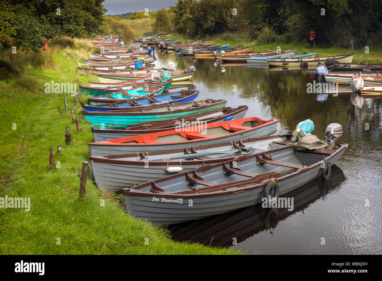 Barche a remi ormeggiate sulla piccola insenatura separazione dell isola di Ross dalla terraferma, Lough Leane, Parco Nazionale di Killarney, nella contea di Kerry, Irlanda. Foto Stock
