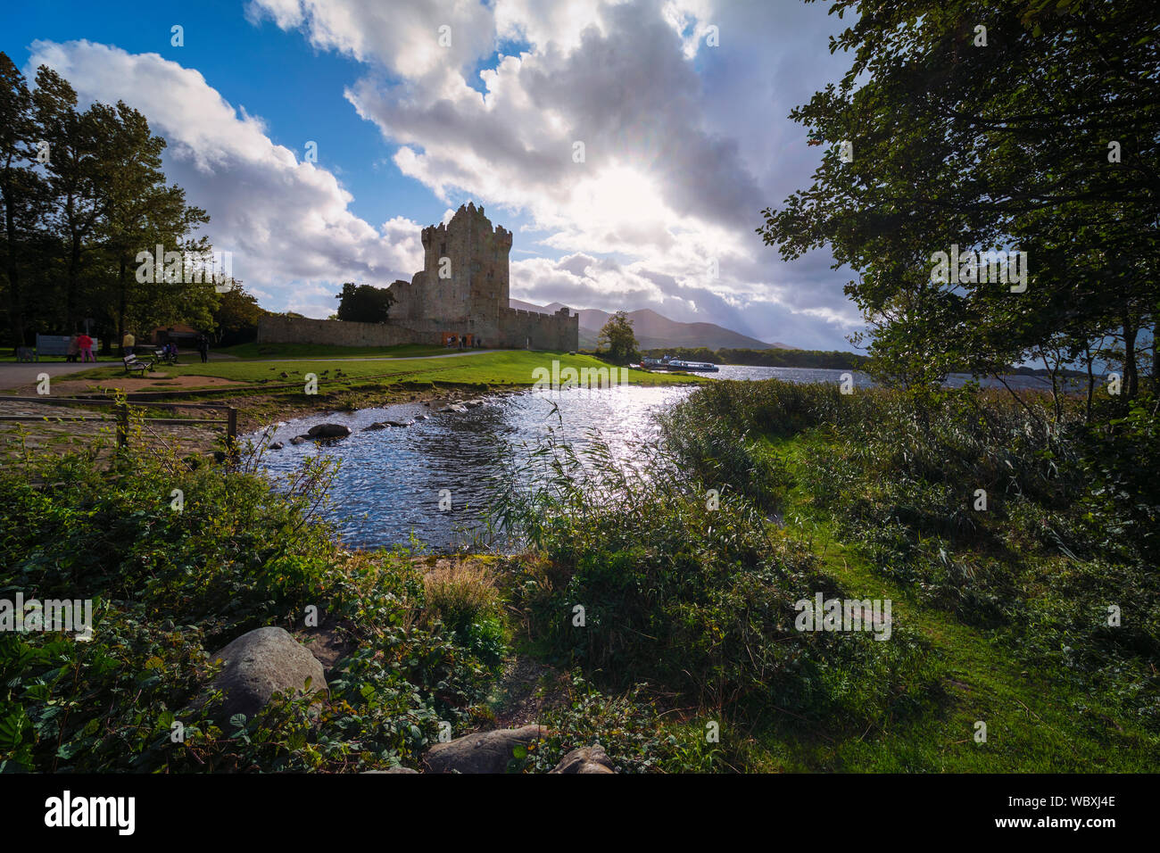 Castello di Ross, casa a torre quattrocentesca sulla isola di Ross, Lough Leane, Parco Nazionale di Killarney, nella contea di Kerry, Irlanda. Foto Stock