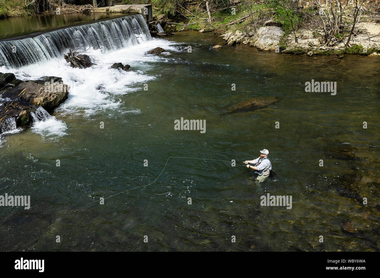 Uomo di Pesca a Mosca Report di Pesca di trote nel fiume Chattahoochee, Bianco County, Georgia, Stati Uniti d'America. Foto Stock