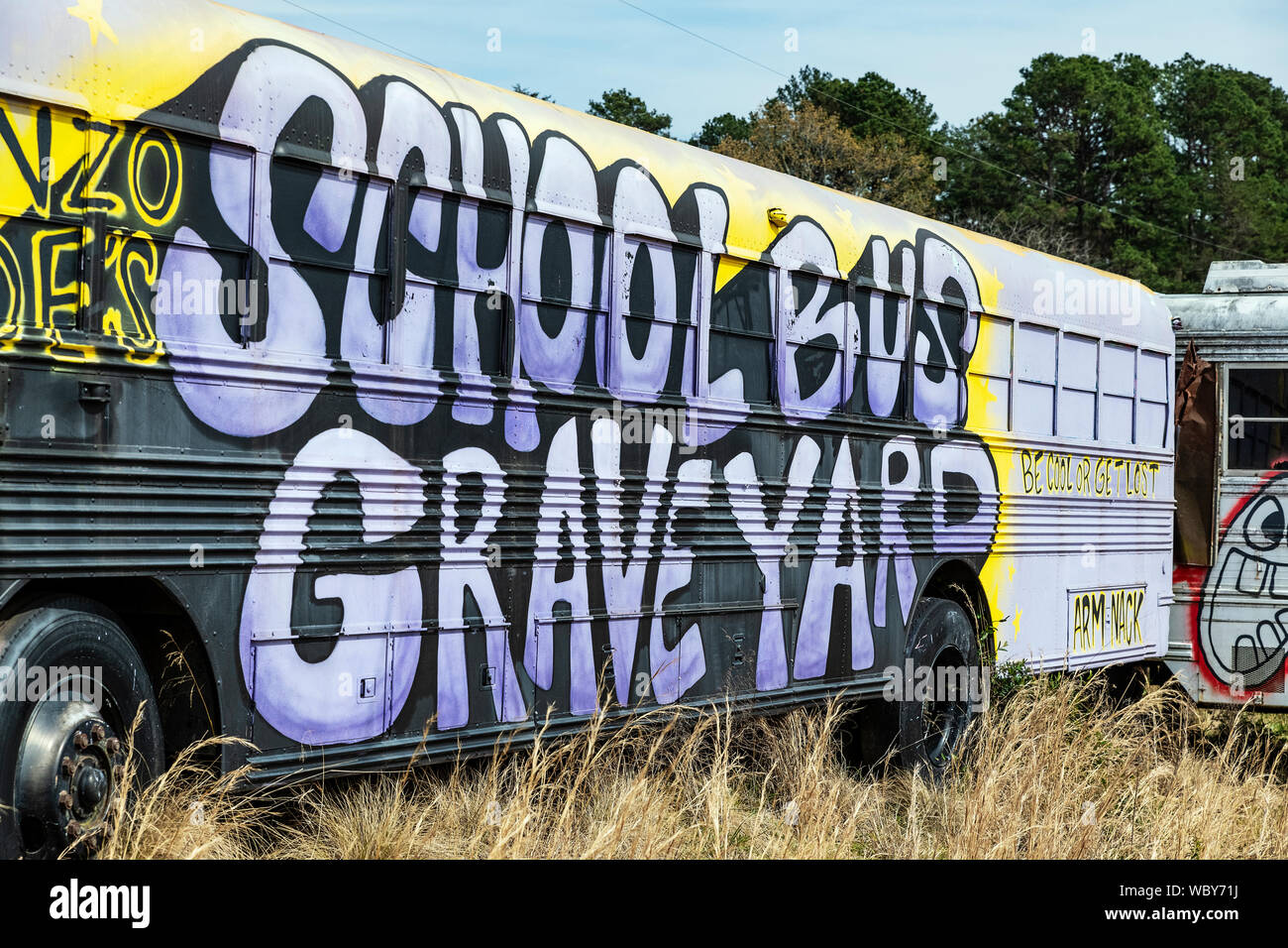 Alonzo Wade's School Bus cimitero, Alto, Georgia, Stati Uniti d'America. Foto Stock