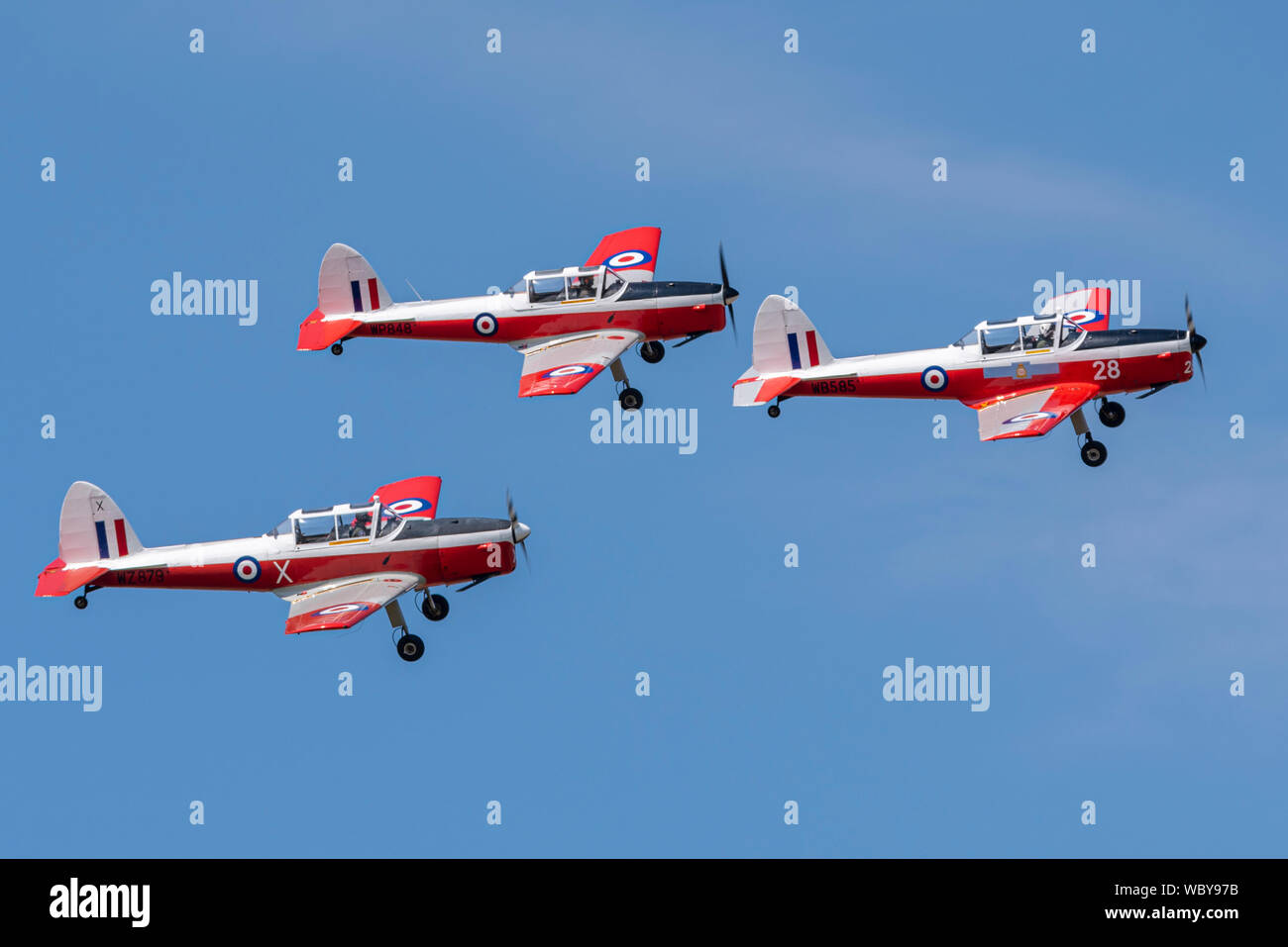 Red passeri display team di de Havilland DHC-1 Scoiattolo striado piani di formazione presso i bambini hanno bisogno di poca aria Gransden & Car Show, airshow UK. Foto Stock