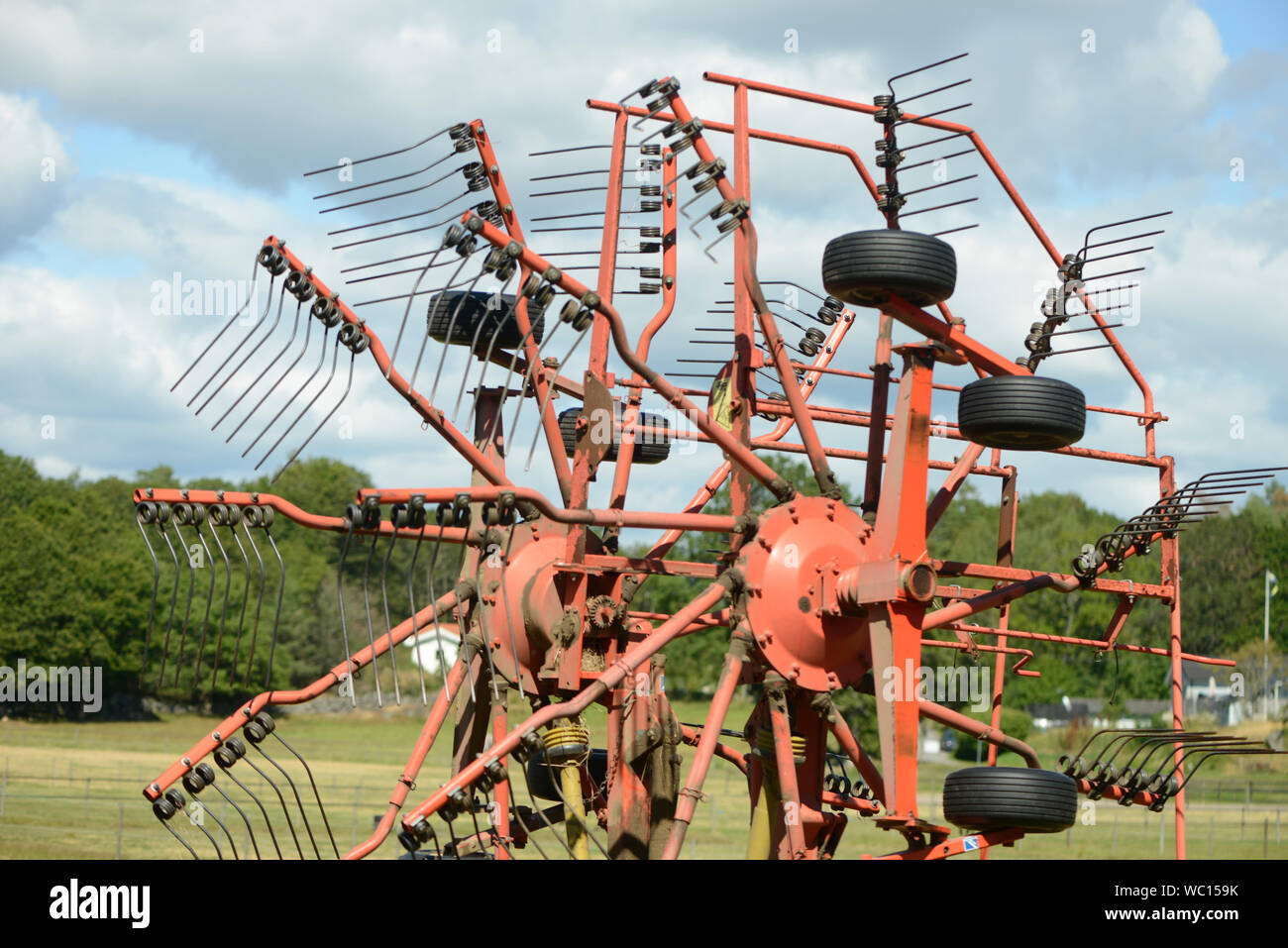 La Svezia, svedese, il Regno di Svezia, scandinavo, Nord Europa, paese, Unione europea, popoli, preistoria, storia, agricolo e boscoso, cli Foto Stock