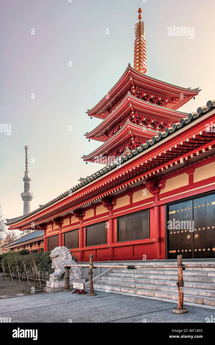 Senso-Ji pagoda e il tempio di sera a Tokyo in Giappone Foto Stock
