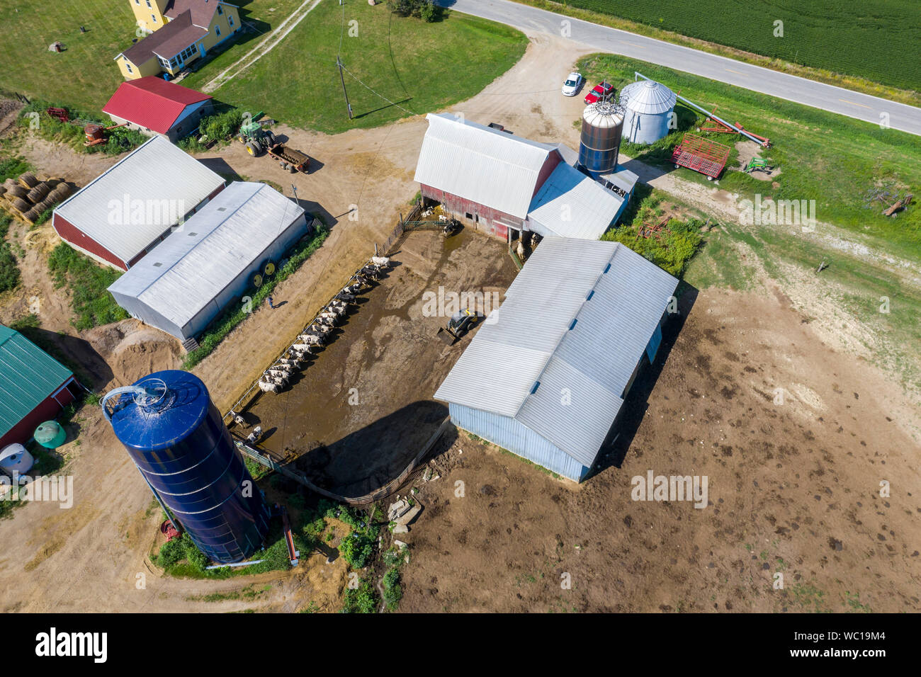 Tre Querce, Michigan - un piccolo, di terza generazione dairy farm. Le piccole aziende lattiero-casearie stanno lottando per sopravvivere. Gli Stati Uniti Dipartimento di Agricoltura dice che Foto Stock