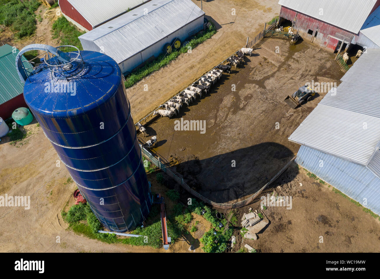 Tre Querce, Michigan - un blu Harvestore silo su un piccolo, di terza generazione dairy farm. Le piccole aziende lattiero-casearie stanno lottando per sopravvivere. Gli Stati Uniti Departmen Foto Stock