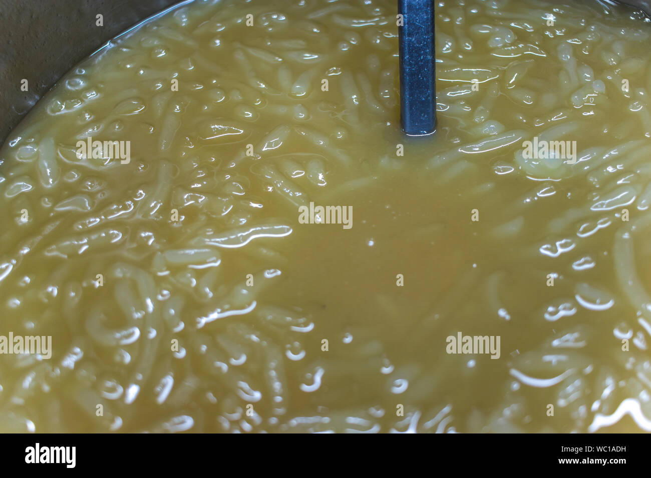 Thai dessert, riso tagliatelle fatte di riso mangiato con latte di cocco nella pentola grande preparare per vendere nel mercato. Immagine ad alta risoluzione gallery. Foto Stock