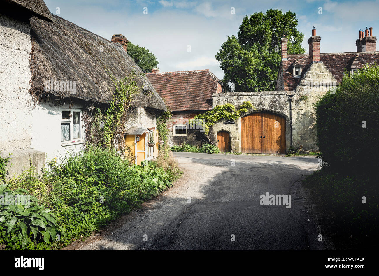 Cottages in un ampio Chalke villaggio nel Wiltshire, Inghilterra Foto Stock