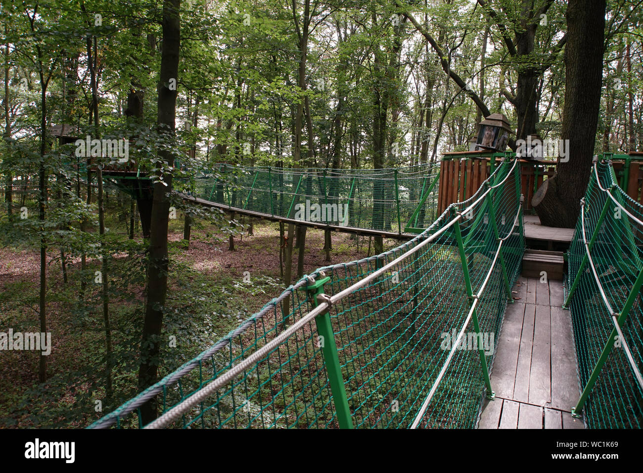 La corda nel parco il parco di divertimenti Foto Stock