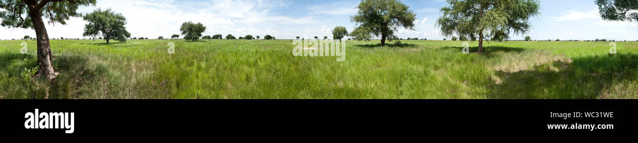 Seamless 360 panorama gradi del sud Sudan Foto Stock