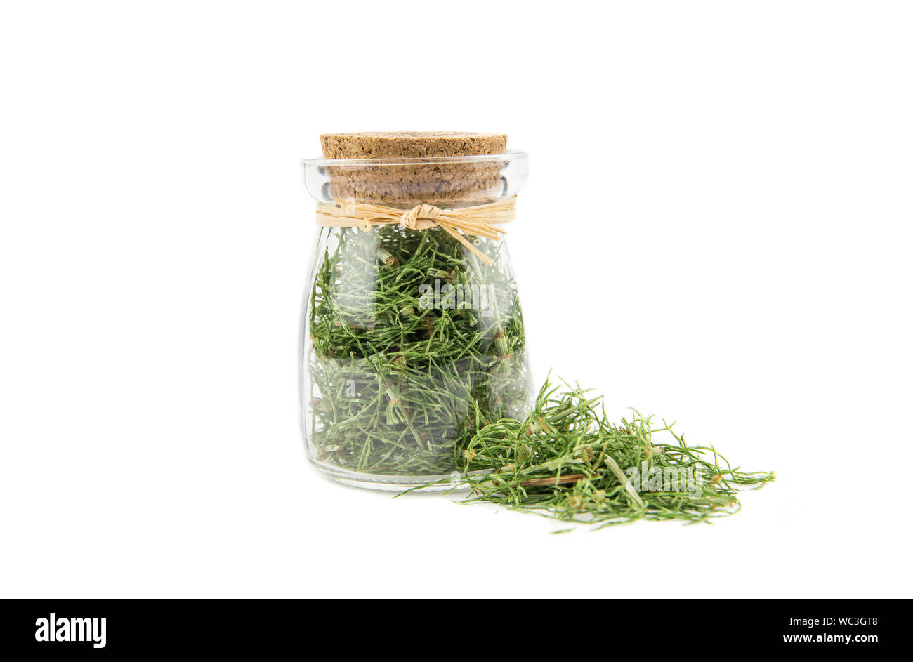 Pila di secchi naturali a base di erbe chiamato Equiseto arvense campo equiseto o comuni o equiseto isolato su bianco accanto a riempito il vasetto di vetro. Foto Stock