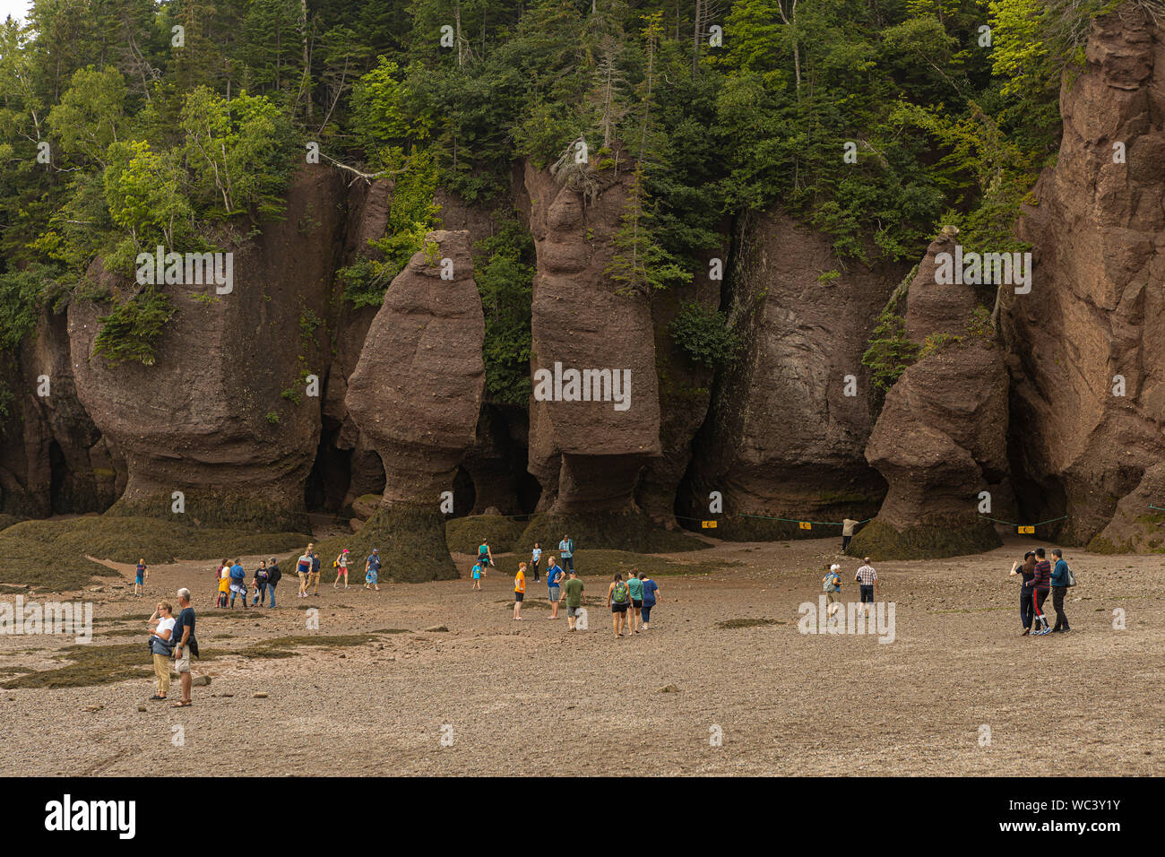 Le persone vagano dalla rupe di Hopewell Rocks Parco, situato nella baia di Fundy, New Brunswick, Lunedì 19 Agosto, 2019. Foto Stock