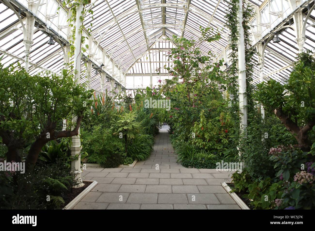 Chihuly a Kew Gardens, Londra Dale Chihuly, la celebrata noi vetro artista, esposto presso i Giardini di Kew 13 anni fa. È stato il suo più recente grande spettacolo all'aperto in Europa - e uno dei più popolari manifestazioni mai tenuto a Kew. Ora egli è tornato con Chihuly: riflessioni sulla natura - 32 installazioni di abbagliamento, compresa la sua stella di zaffiro, la serie Seaforms e un nuovo lavoro appositamente progettati per la casa temperate, che è stato riaperto di recente dopo £41m restauro. A partire dal mese di agosto, i giardini saranno aperti fino a tardi per selezionati Chihuly notti, quando le opere saranno illuminate e la musica. Foto Stock