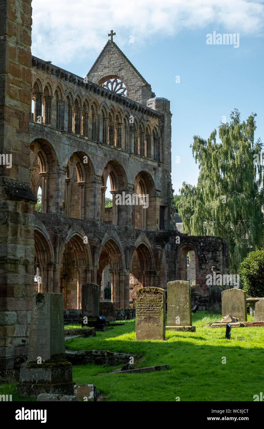 Jedburgh Abbey, una rovina Abbazia Agostiniana che fu fondata nel XII secolo e si trova nella città di Jedburgh, in Scottish Borders. Foto Stock