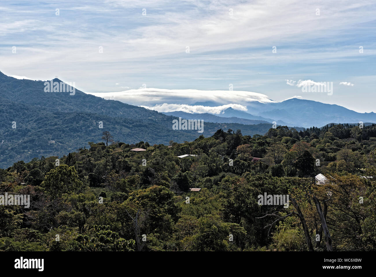 Cloud Forest nel nord della cittadina di Boquete nella provincia di Chiriqui Panama Foto Stock