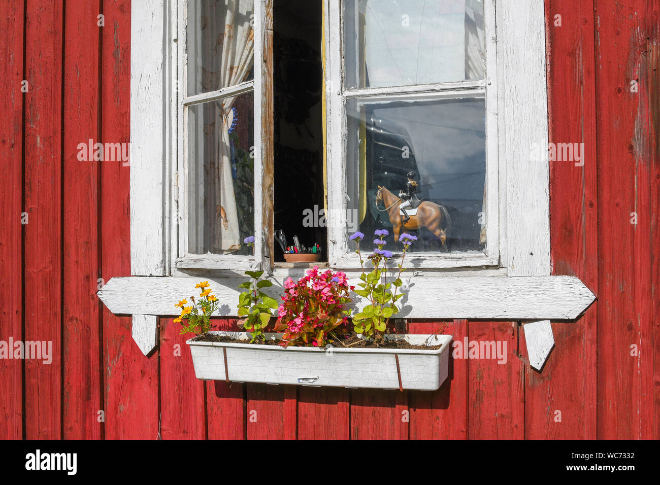 Fiori al di fuori di un bianco rustico sul telaio di una finestra su un granaio rosso, con un modello di un cavallo e cavaliere in Porvoo in Finlandia. Foto Stock