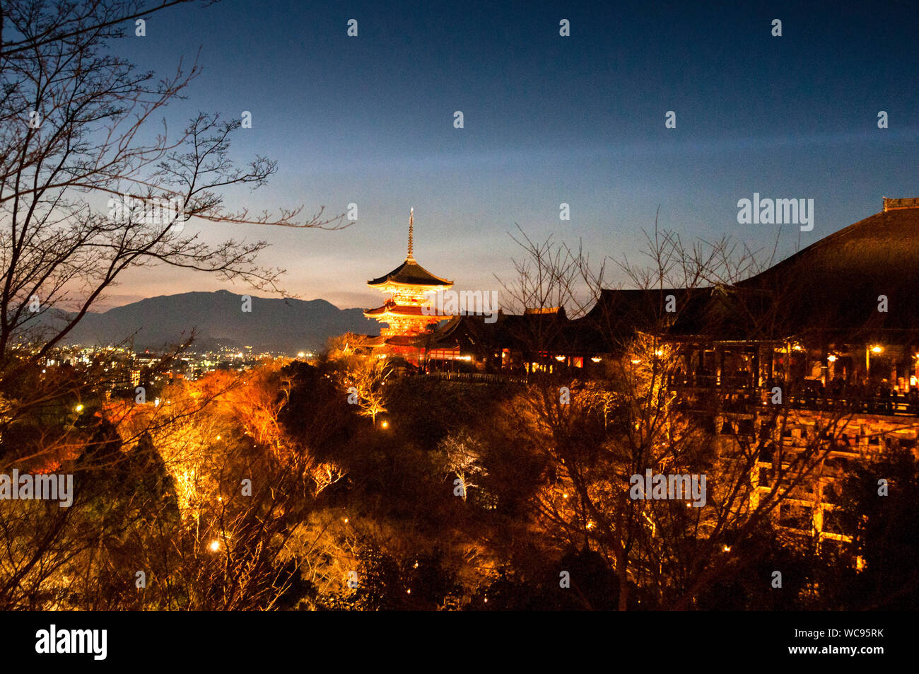Tempio Kiyomizu-dera, durante l'illuminazione primaverile, noto per il suo palcoscenico in legno che si protende sugli alberi, Kyoto, Giappone. Foto Stock
