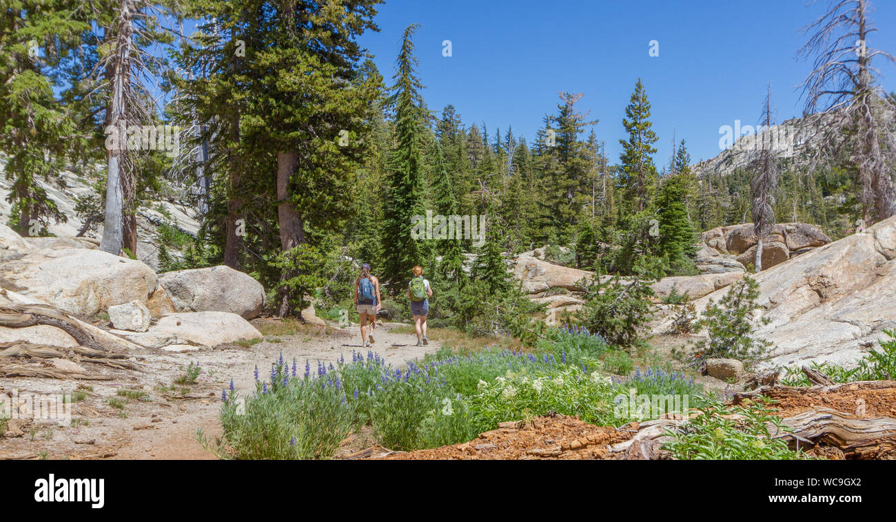 Due escursionisti femmina su un sentiero di montagna vicino Pinecrest, California, nelle montagne della Sierra Nevada. Entrambe le donne hanno zaini, parlando di ogni altro. Foto Stock Due escursionisti femmina su un sentiero di montagna vicino Pinecrest, California, nelle montagne della Sierra Nevada. Entrambe le donne hanno zaini, parlando di ogni altro. Foto Stock