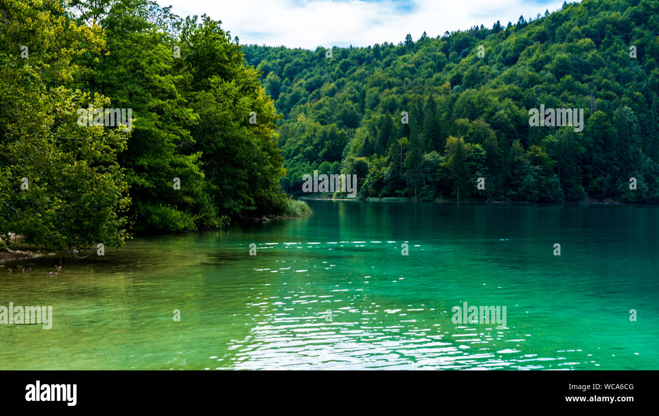 Paesaggio di verde del lago e delle montagne del Parco Nazionale dei Laghi di Plitvice, Croazia Foto Stock