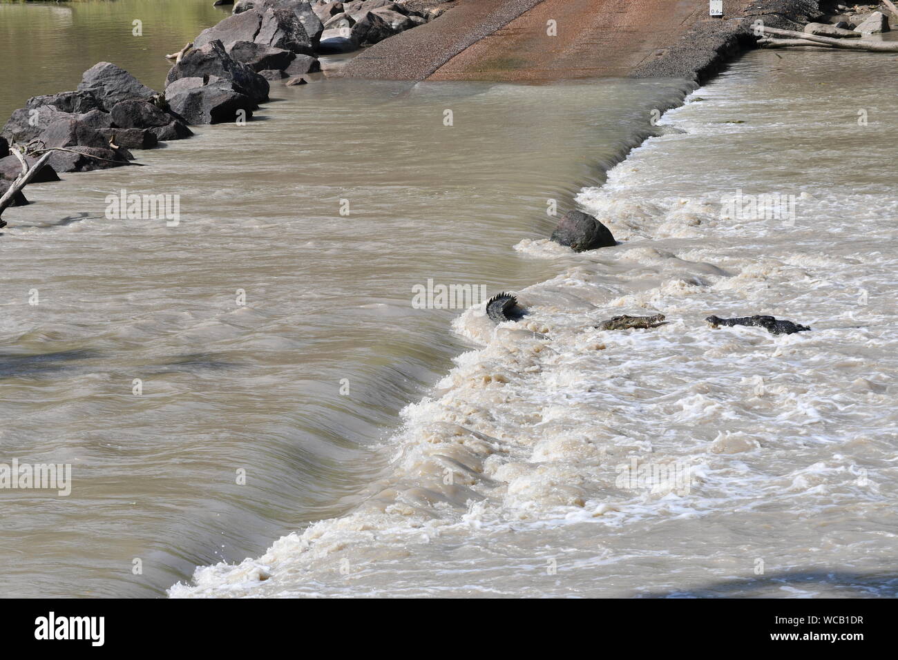 Lotta con coccodrilli, Cahill's Crossing, Arnhem Land, Northern Territory Foto Stock