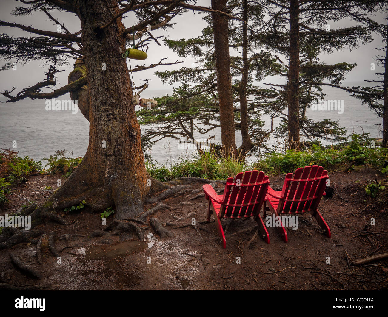 Sedie rosse lungo la West Coast Trail in Pacific Rim Parco nazionale sull'Isola di Vancouver in British Columbia, Canada. Foto Stock