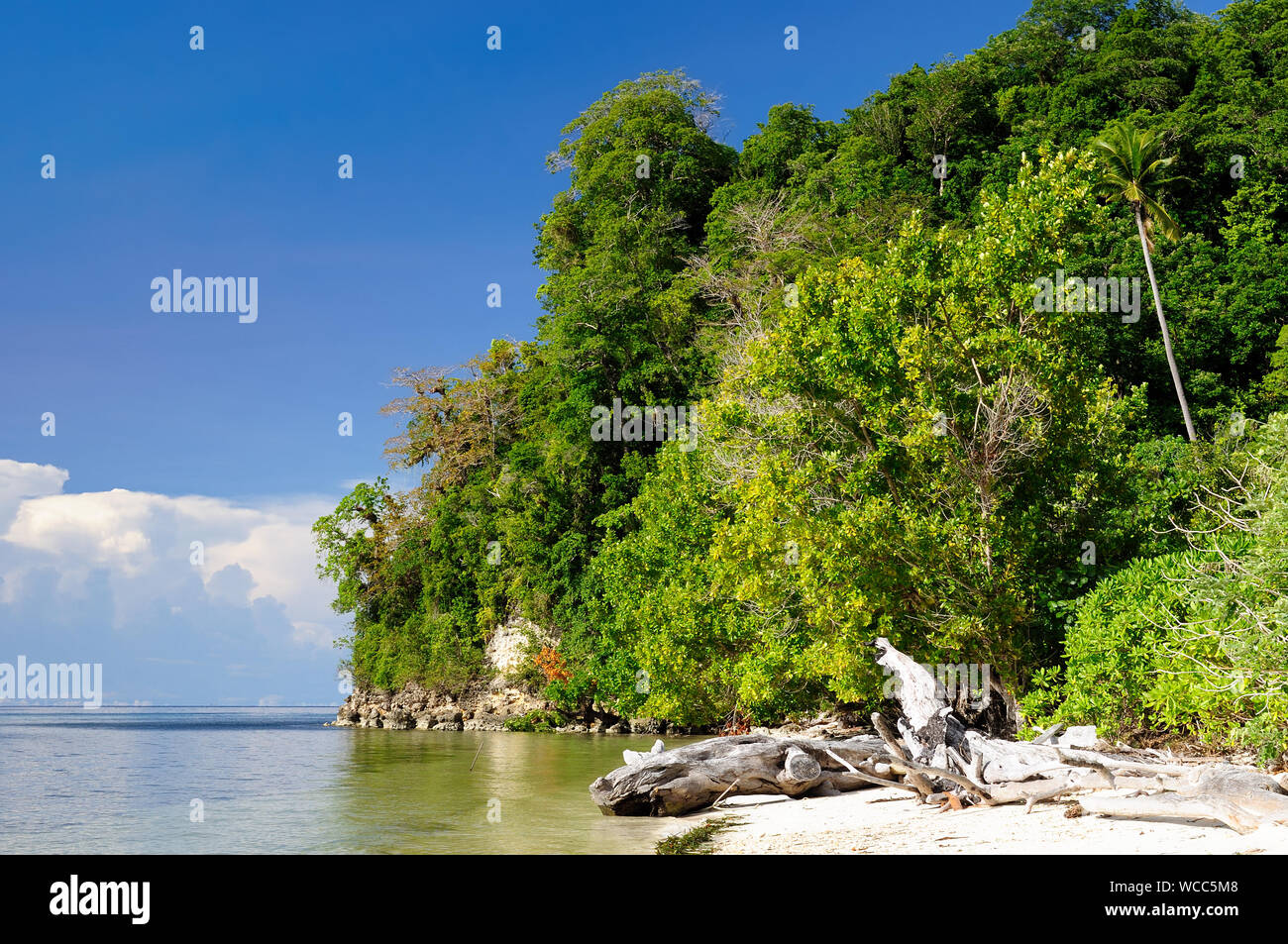 Isole Togian sul golfo di Tomini nel Sulawesi centrali. La maggior parte populat turistico destinazione immersione in Indonesia, Foto Stock
